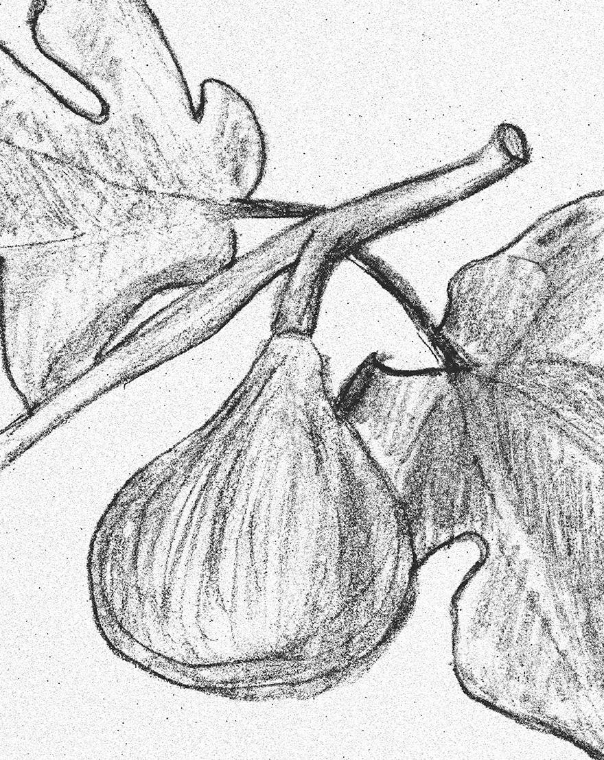 Ilustracion-02