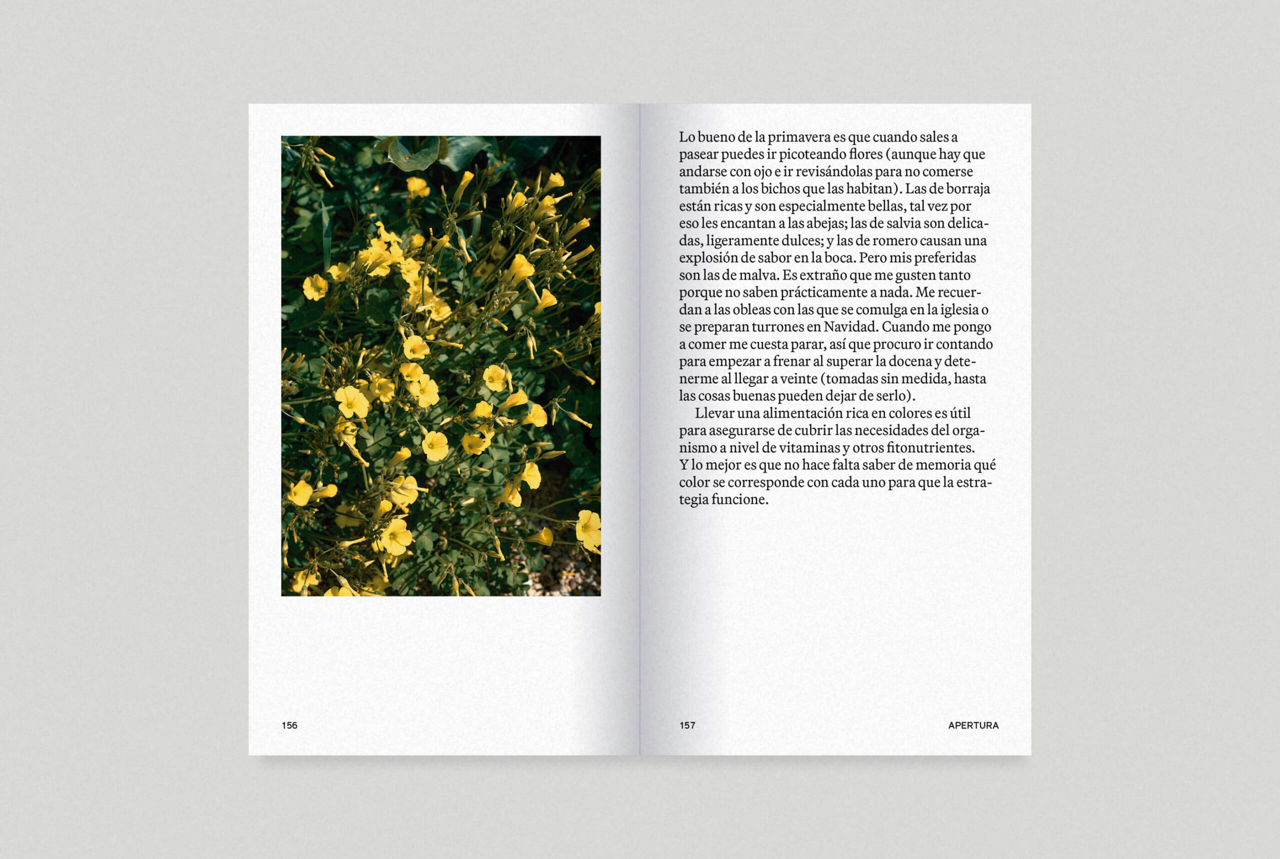 SDO-Spreads-01-Web_0007_SDO-Spreads-19