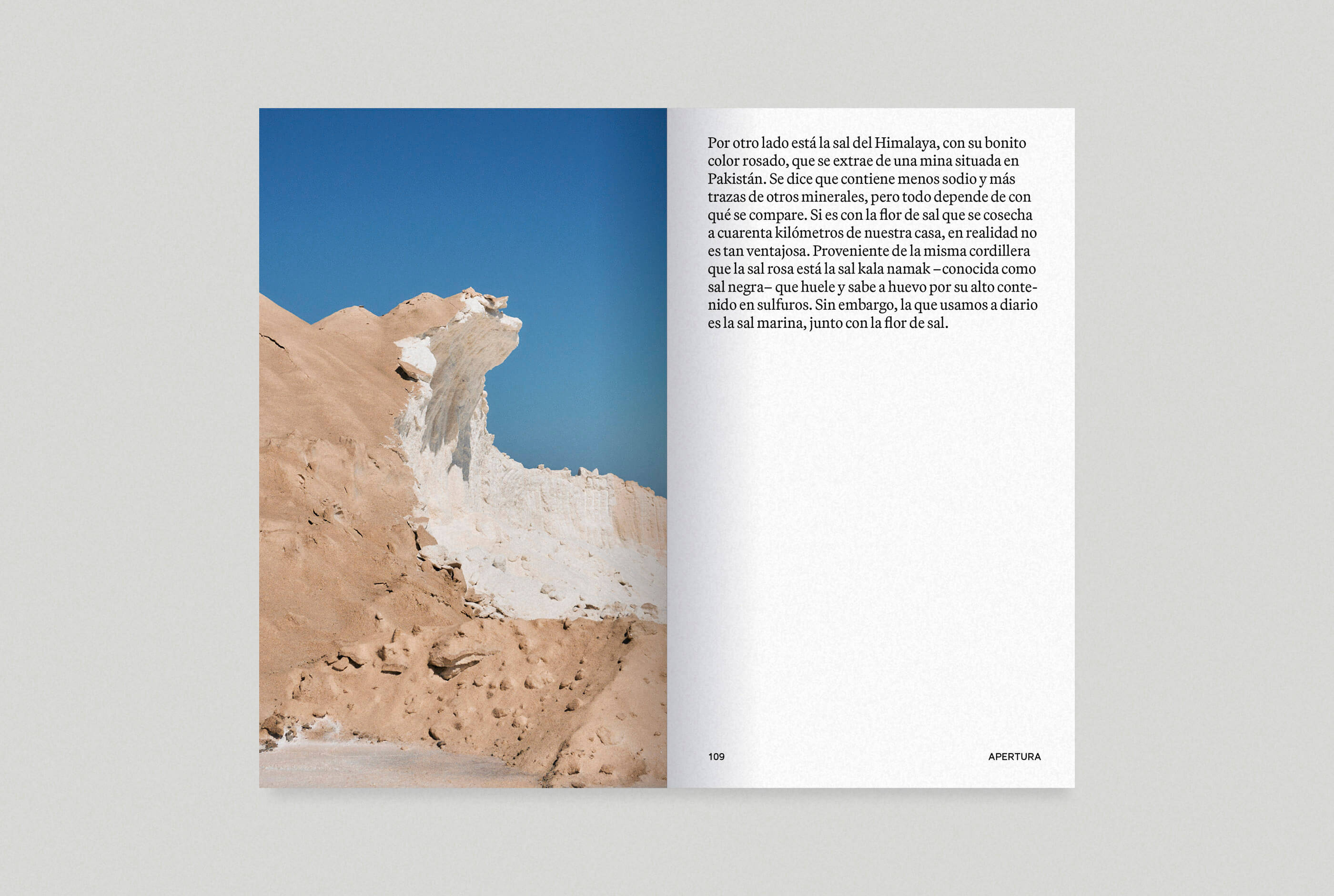 SDO-Spreads-01-Web_0014_SDO-Spreads-12